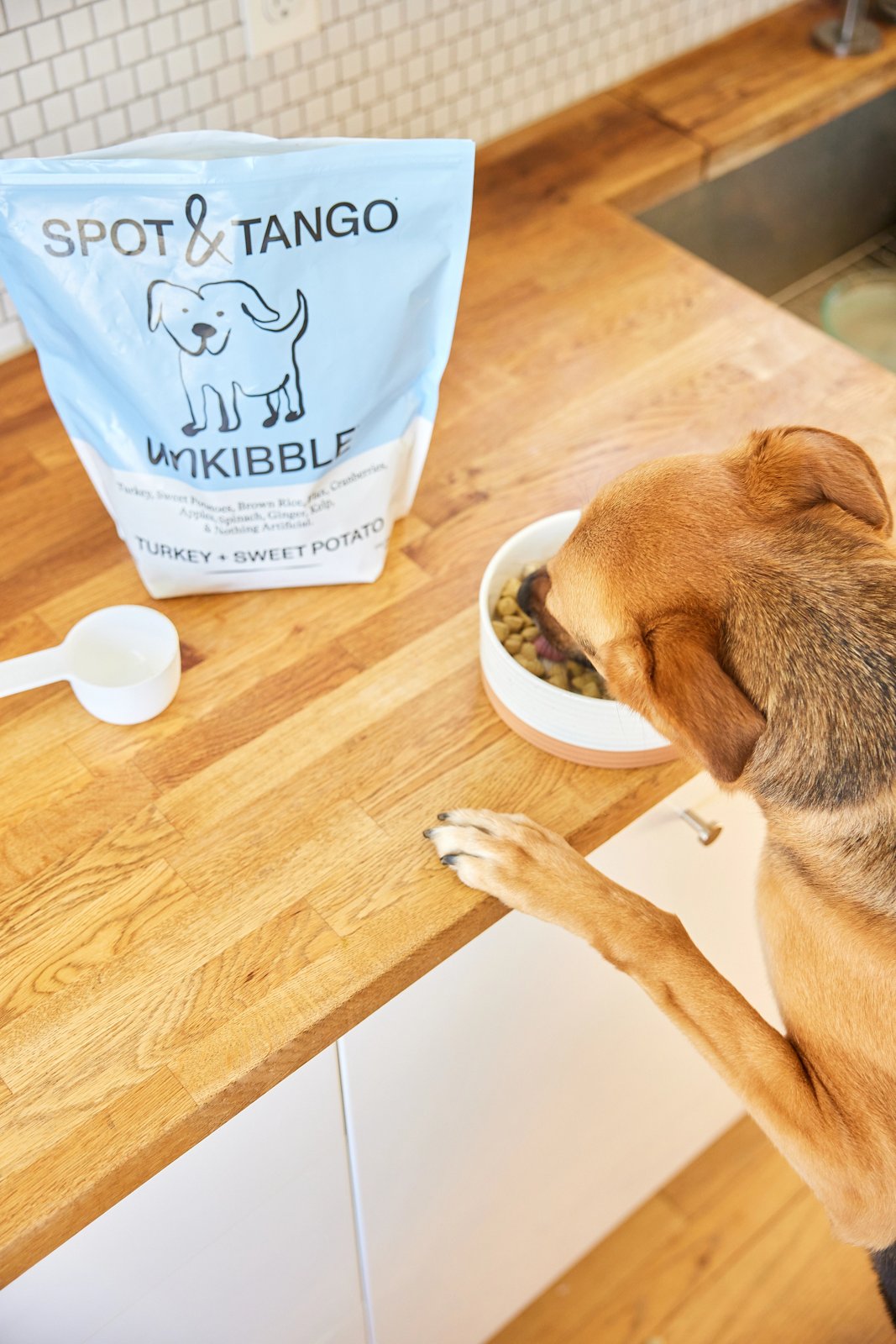 Dog eating UnKibble